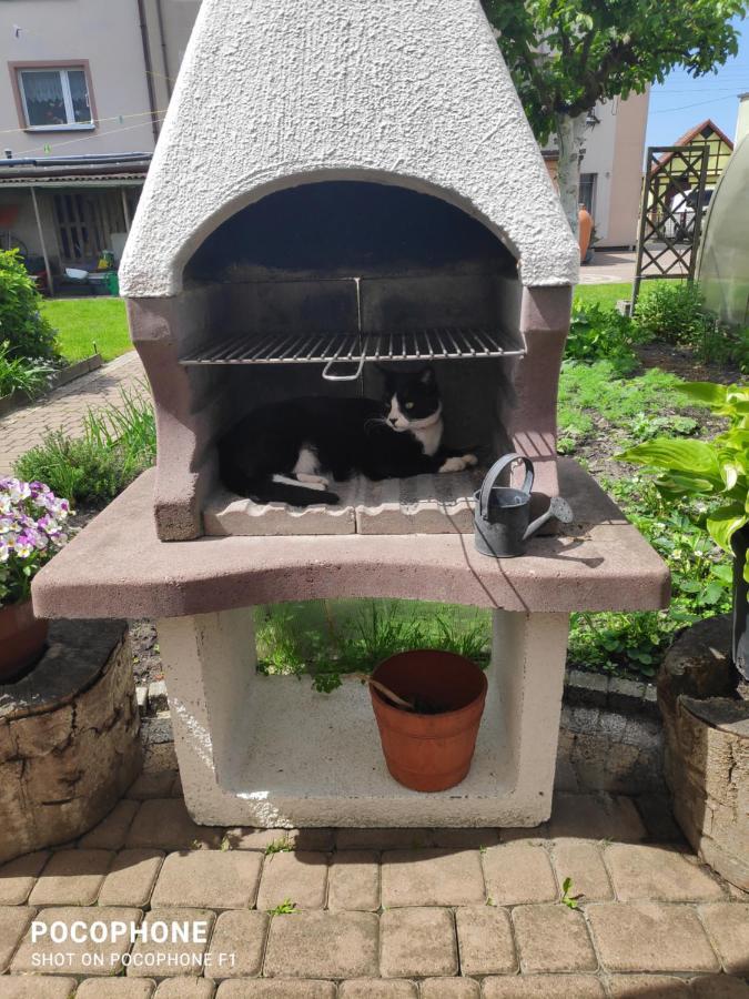 Pokoje Goscinne Moli Łeba Esterno foto